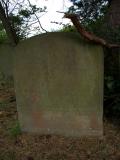 image of grave number 507790